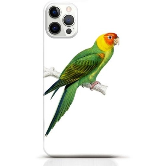 Parrot iPhone 16 Pro Max case Style 11